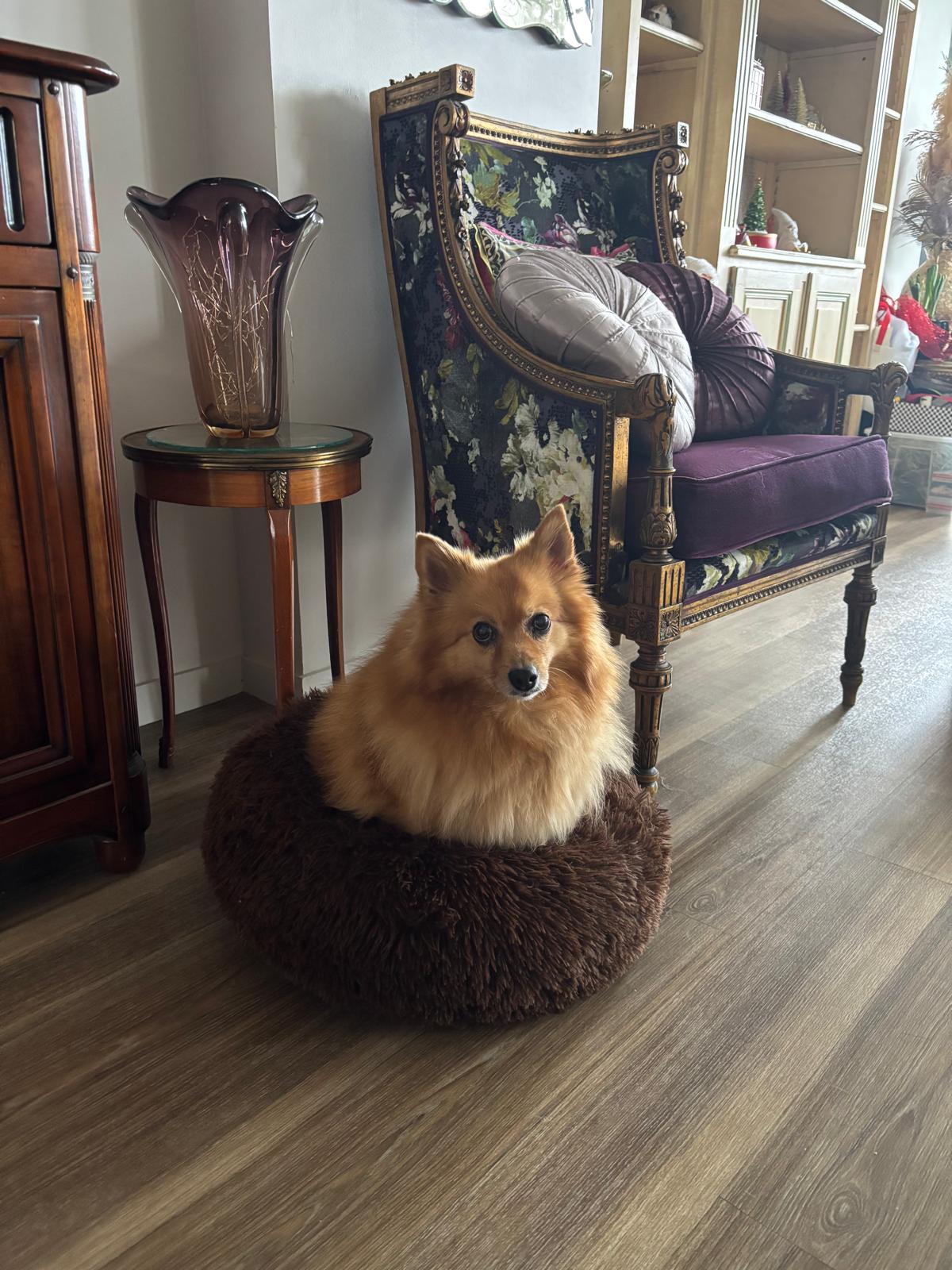 Bella