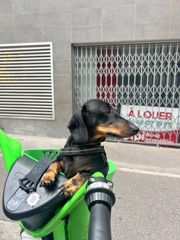 Léon