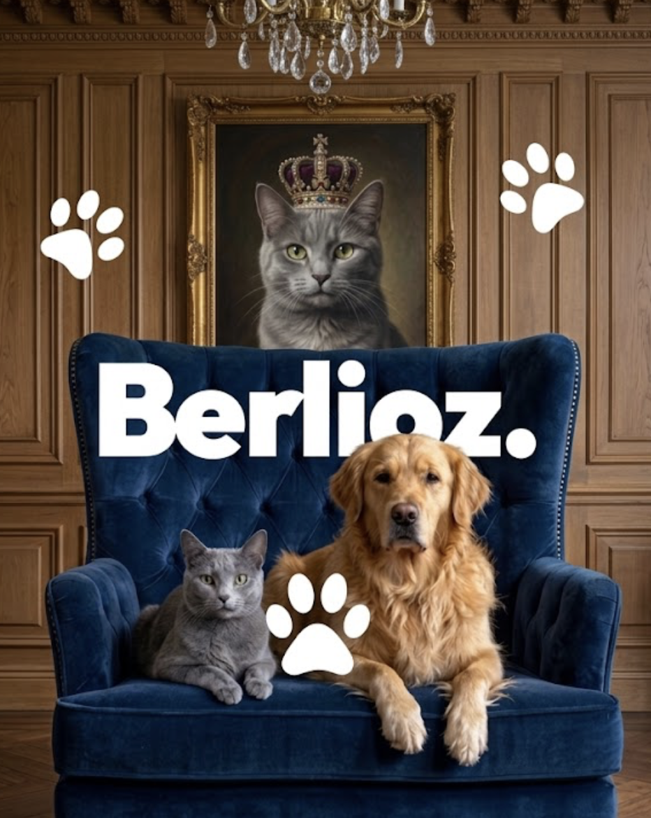 Berlioz app