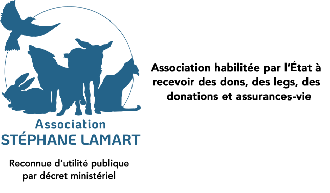 Association Stéphane Lamart