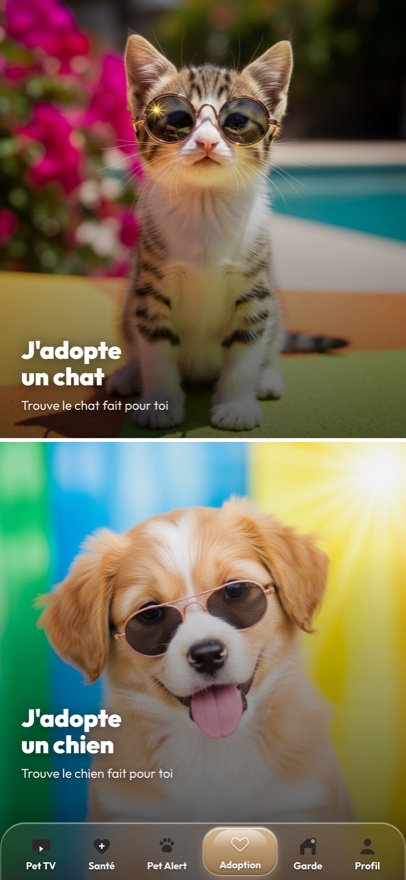 Adoption Berlioz : la famille choisit chat ou chien pour commencer